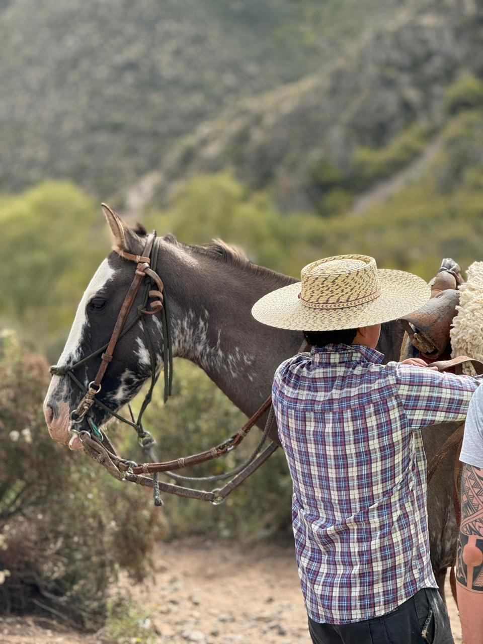 Cabalgatas