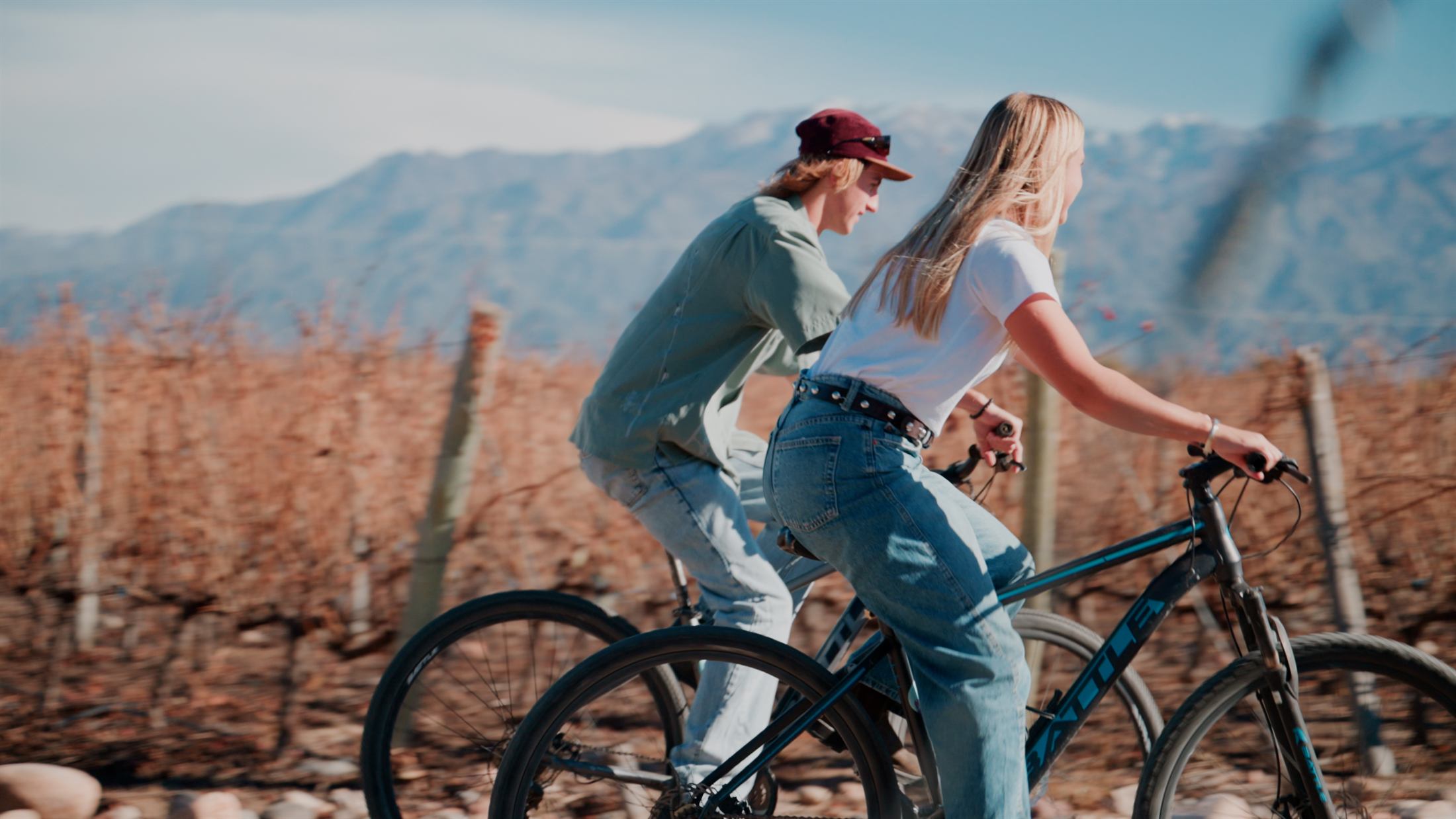 Enoturismo en bici entre viñedos de Mendoza