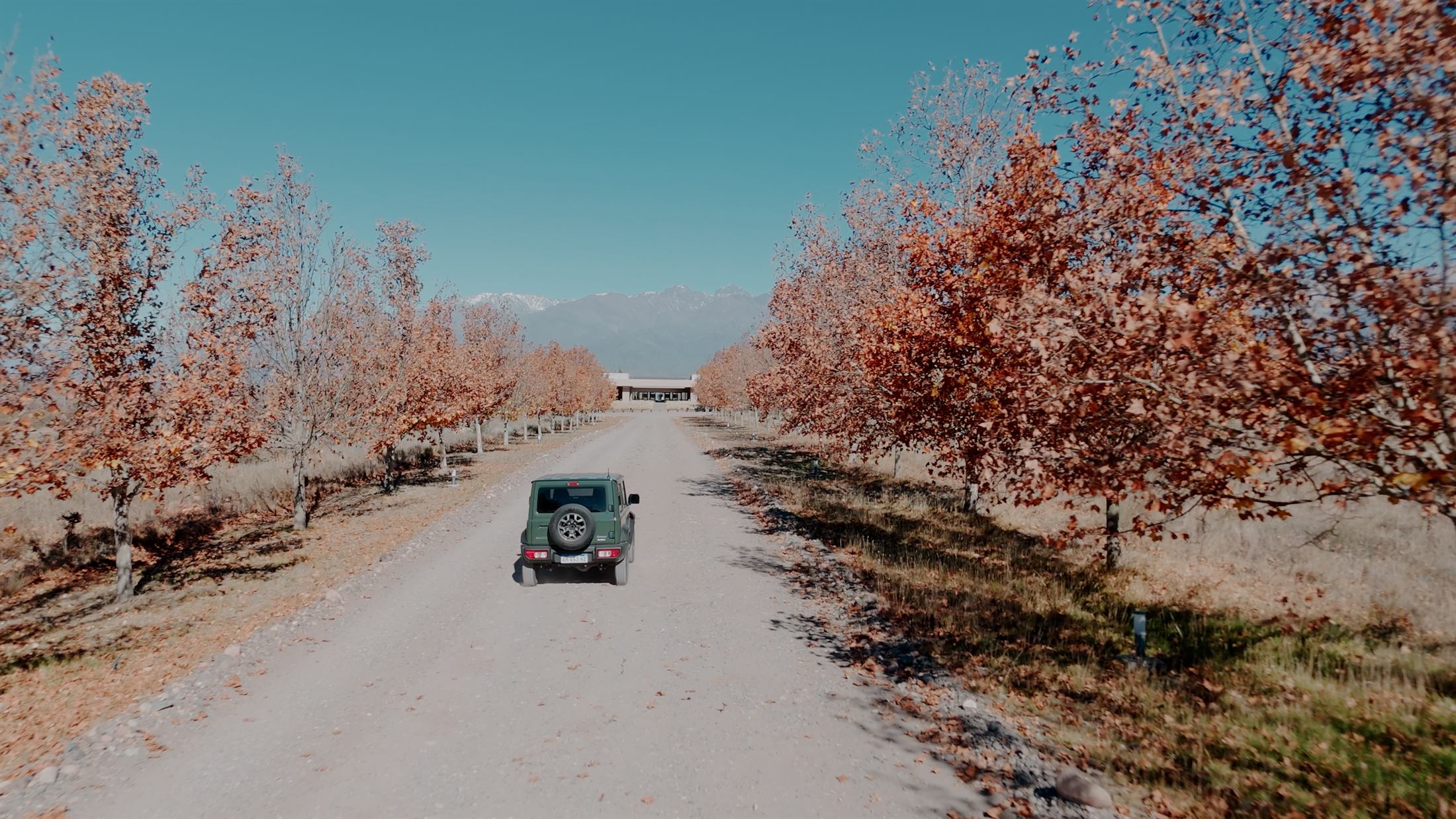 Rent a car recorriendo caminos de Mendoza